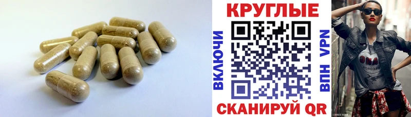 blacksprut зеркало  купить наркотики сайты  Пущино  ЭКСТАЗИ круглые 