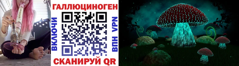 купить наркоту Пущино блэк спрут ССЫЛКА Галлюциногенные грибы Psilocybine cubensis